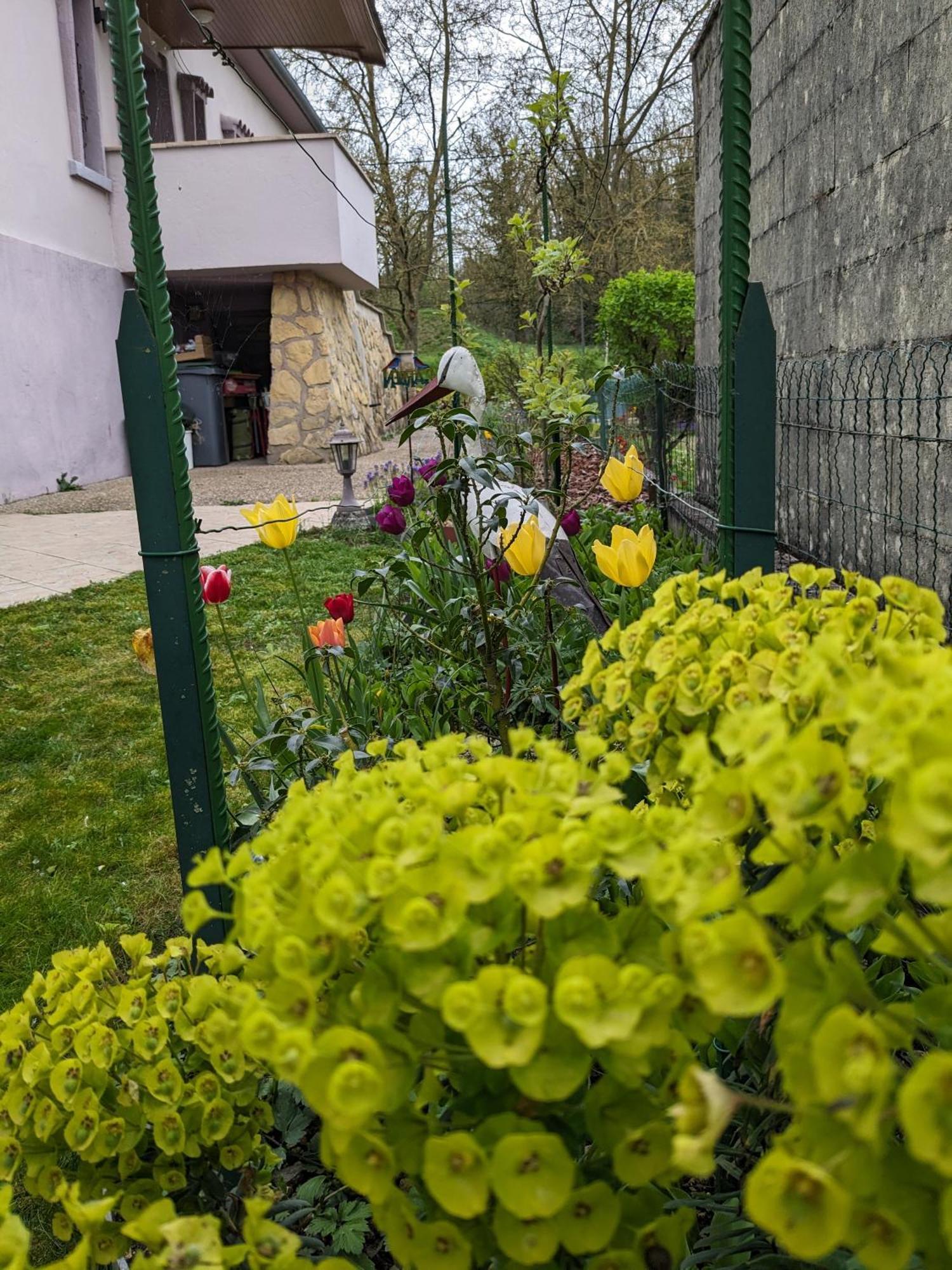 Villa Chantal Verdun-sur-Meuse Exterior foto